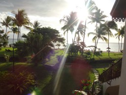 Garden view to the ocean - The open and green garden offers a fantastic view of the Indian Ocean.